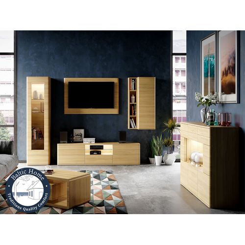 Buy cabinet hinged Type 506 Leone right